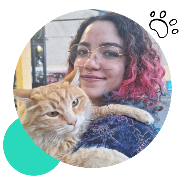 MVZ Rocío Estefanía Morales Guerrero